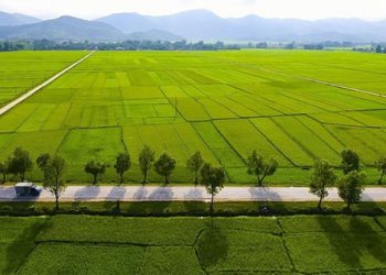 1 công đất bằng bao nhiêu m2, ha tính theo công đất Nam Bộ, Trung Bộ, Bắc Bộ