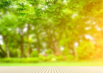 Cách làm mờ ảnh trong Paint