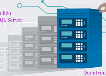 Các kiểu dữ liệu trong SQL Server