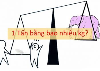 1 tấn bằng bao nhiêu tạ, yến, kg