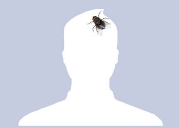 Ảnh đại diện Facebook độc đáo, không màu mè, hoa lá