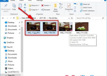 File CR2 được chuyển đổi sang JPG file