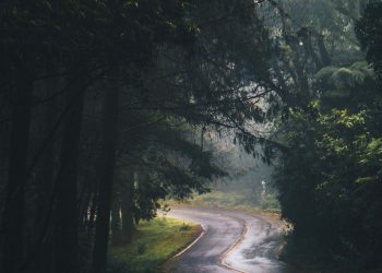 Những hình nền oppo cực đẹp