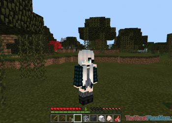 Thêm skin vào game Minecraft (6)