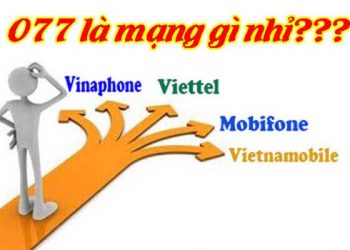 077 là mạng gì
