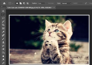 Bức ảnh hoàn thành với khung viền được tạo