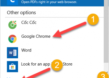 Chọn 1 ứng dụng có khả năng đọc PDF và check vào ô Always use this app to open .pdf files