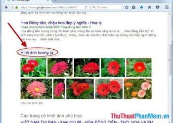 hình ảnh tương tự với hình ảnh ban đầu