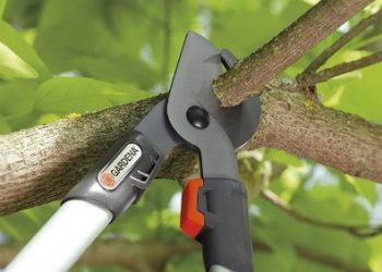 Địa chỉ bán kéo cắt cành trên cao ở Hà Nội & TPHCM