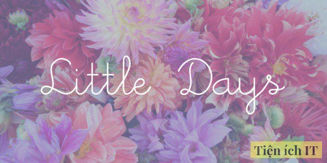 font calligraphy little days