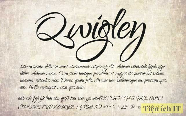 Qwigley Regular Font 