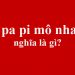 Chu pa pi mô nha nhố nghĩa là gì?