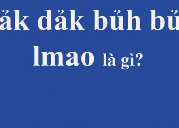 Dảk, bủh, lmao là gì?