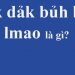 Dảk, bủh, lmao là gì?