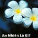 An nhiên là gì? Làm sao có được cuộc sống an nhiên?
