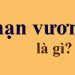 Chạn vương là gì? – tienichit.com