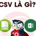 File CSV là gì? – tienichit.com
