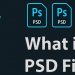 File PSD là gì? Cách mở file PSD