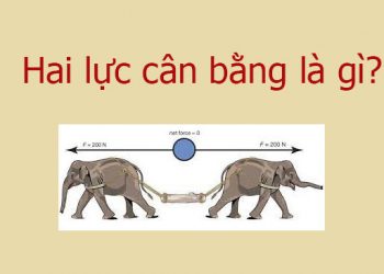 Hai lực cân bằng là gì