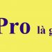 Pro là gì? – tienichit.com