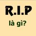 R.I.P là gì? – tienichit.com