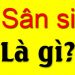 Sân si là gì? Ý nghĩa của sân si?