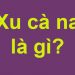 Xu cà na là gì? Xu cà na là gì trên Facebook?