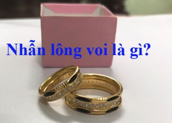 Nhẫn lông voi là gì?