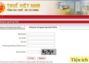 Tra cứu mã số thuế cá nhân