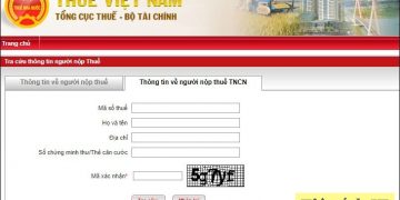 Tra cứu mã số thuế cá nhân